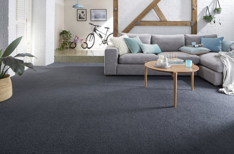 Carpet stain removal Joondalup